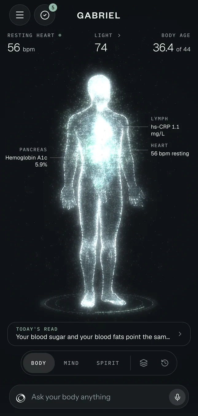 A figure of light with resting heart 56, Light 74 and body age 36.4, and readings beside the heart, lymph and pancreas